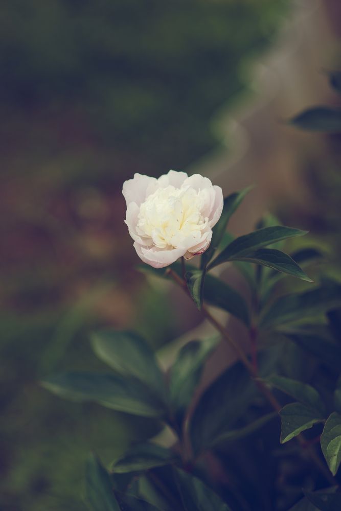 Photograph by Оксана Артимович