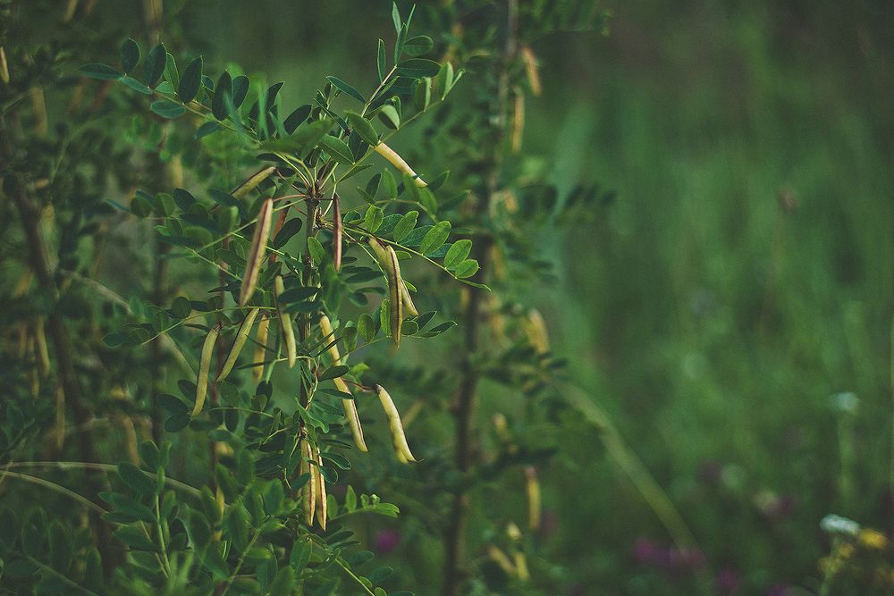 Photograph by Оксана Артимович