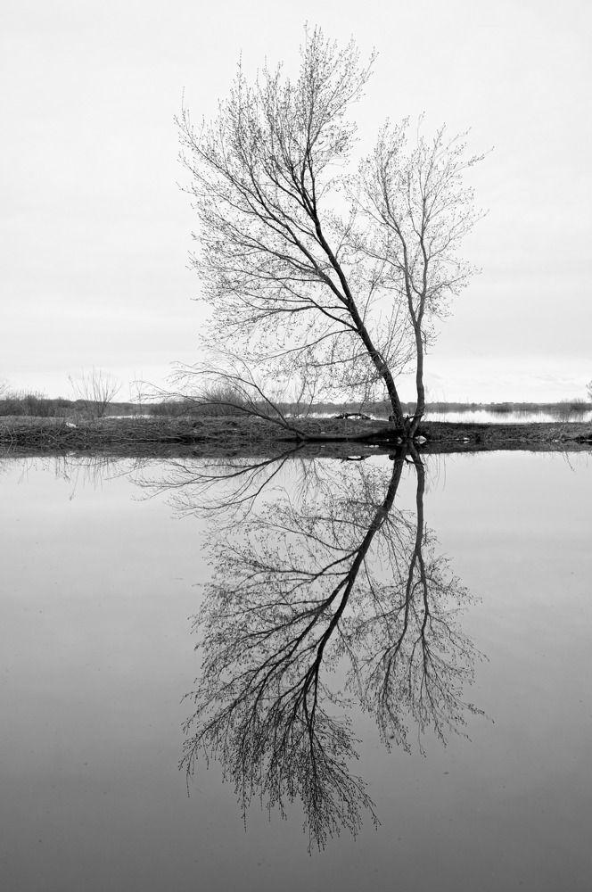 Photograph by Надежда Рудакова