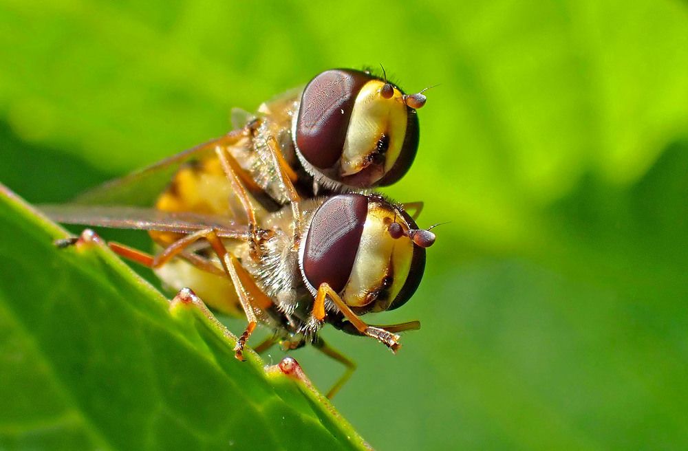 Photograph by Marjo Steffen