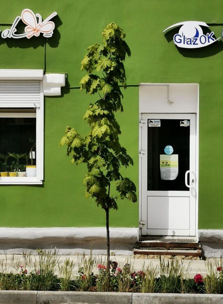 Фотография автора Андрей Богданов