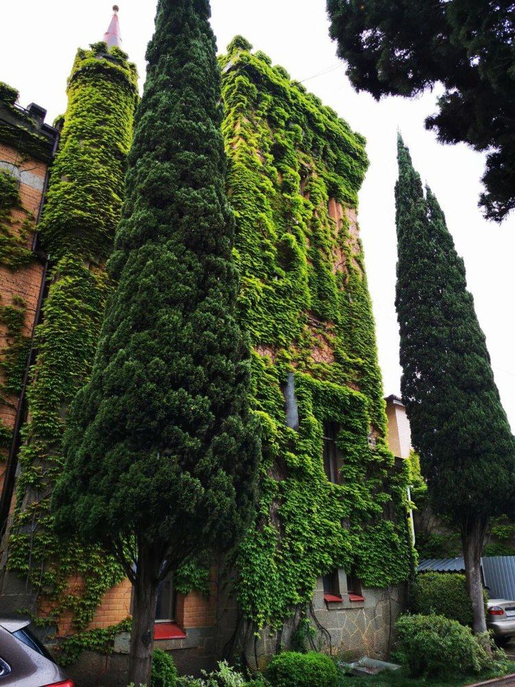 Фотография автора Андрей Богданов