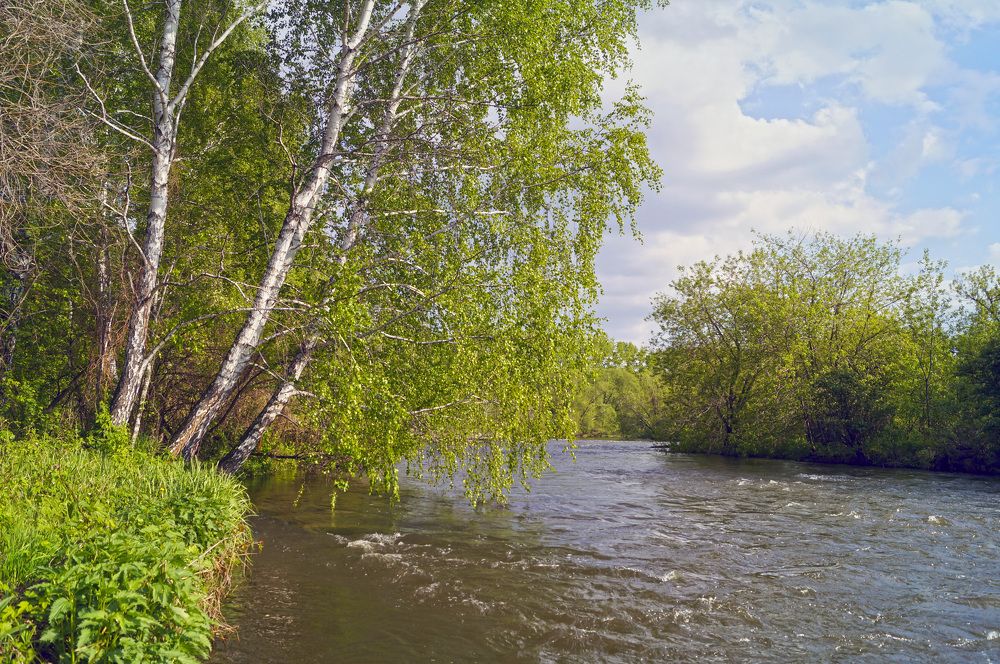 Photograph by Мишустина Татьяна