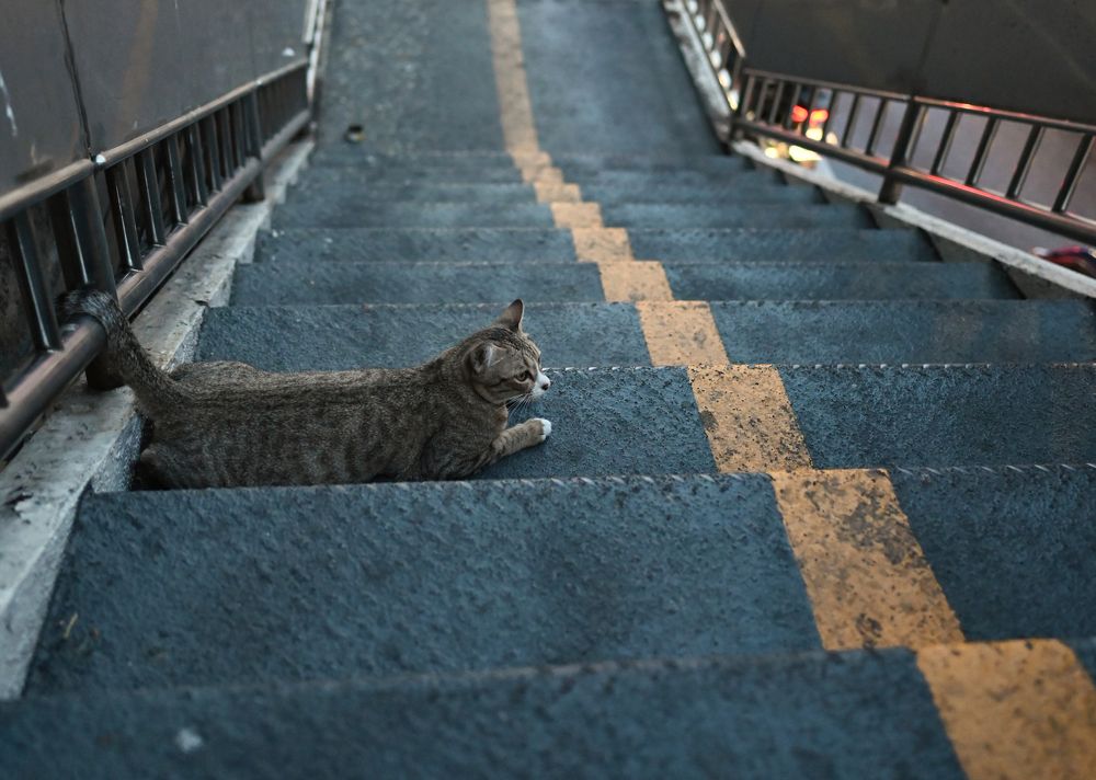 Photograph by Koksharov Stanislav