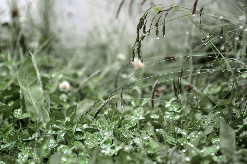 Photograph by Vitaly Lapin