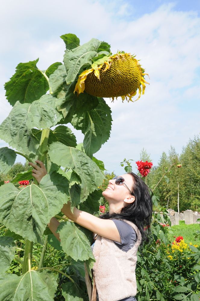 Photograph by Оксана Артимович