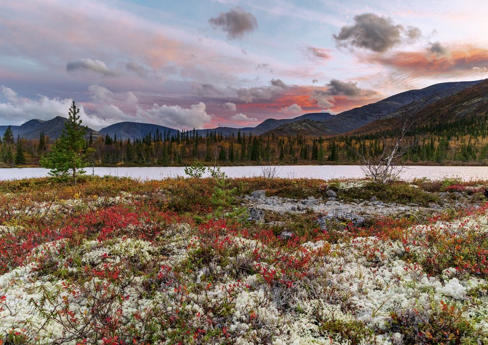 Photograph by Анна Бокова