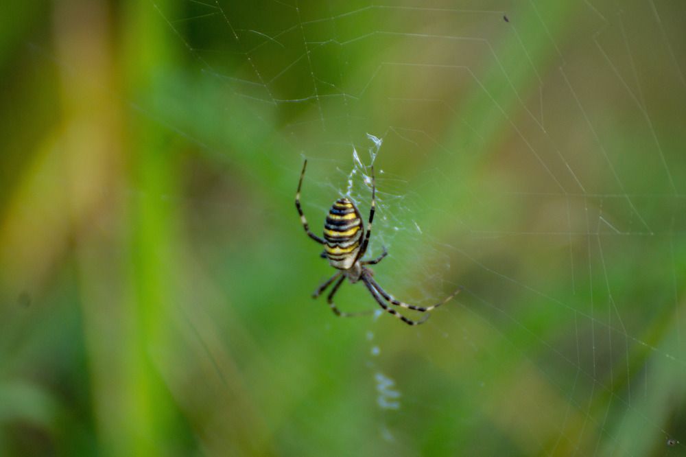 Фотография автора Тамара Нижельская