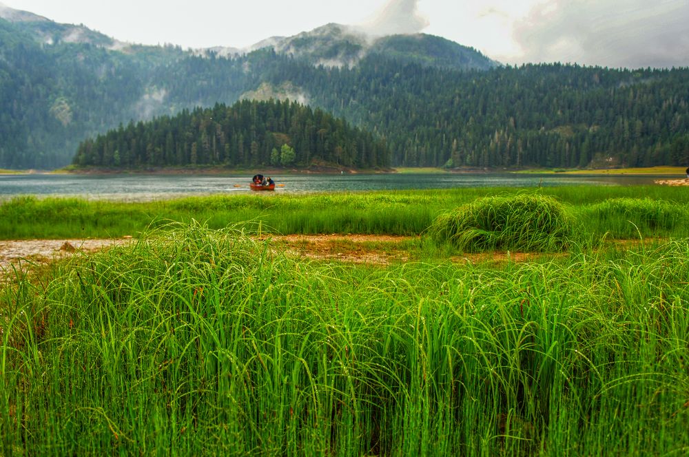 Фотография автора Ксения