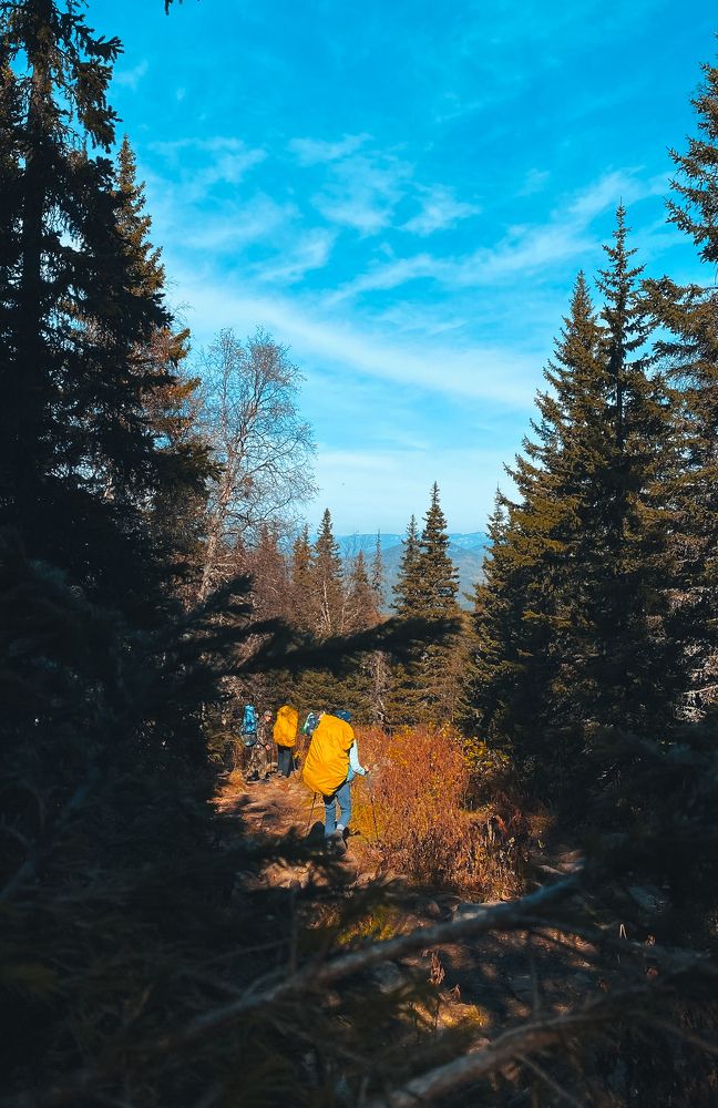 Photograph by Наталья Богаткина