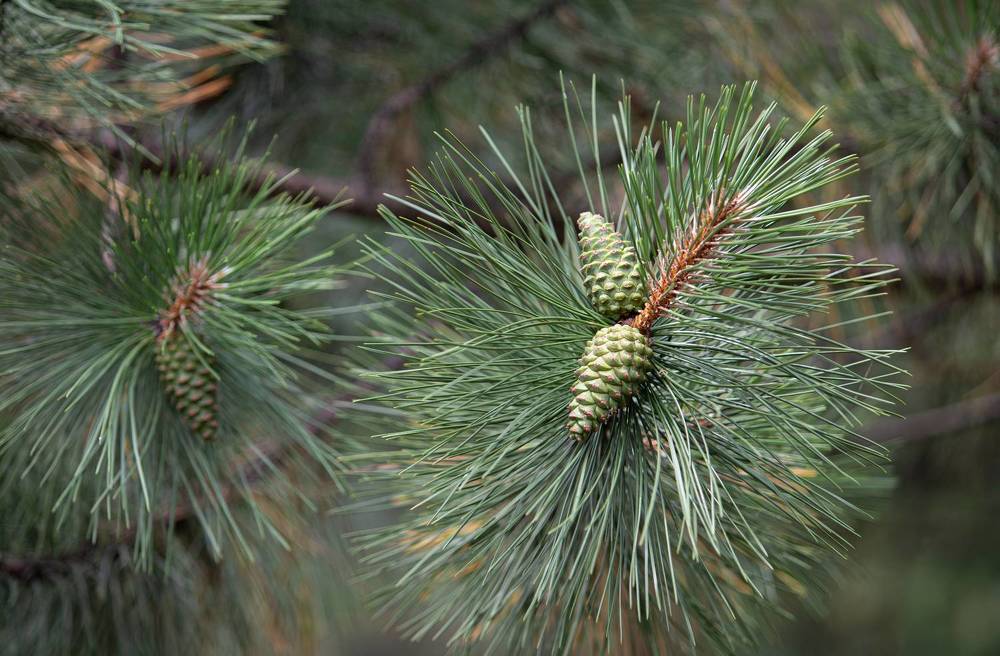 Photograph by Виталий Са