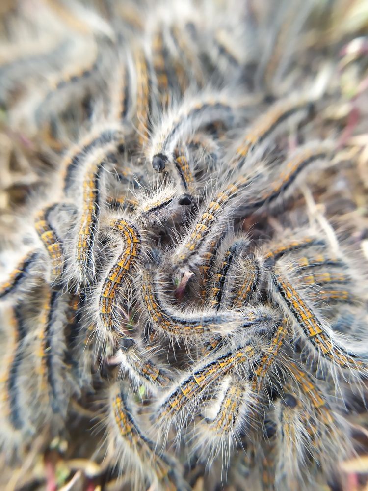 Photograph by Дина Горбачёва