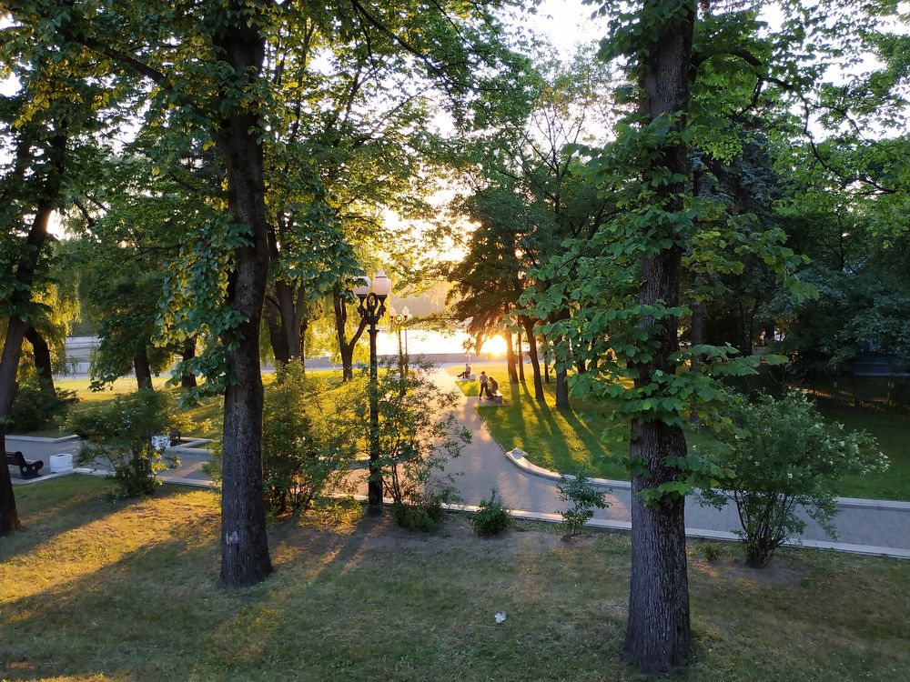 Луч солнца золотого / Ray of Golden Sunshine