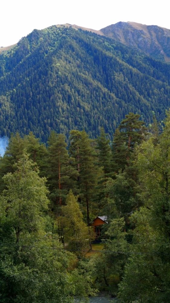 Photograph by Ирина Чувило