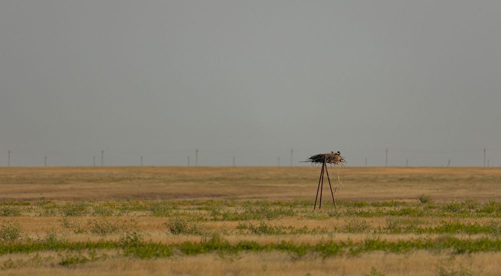 Photograph by Подосинников Максим