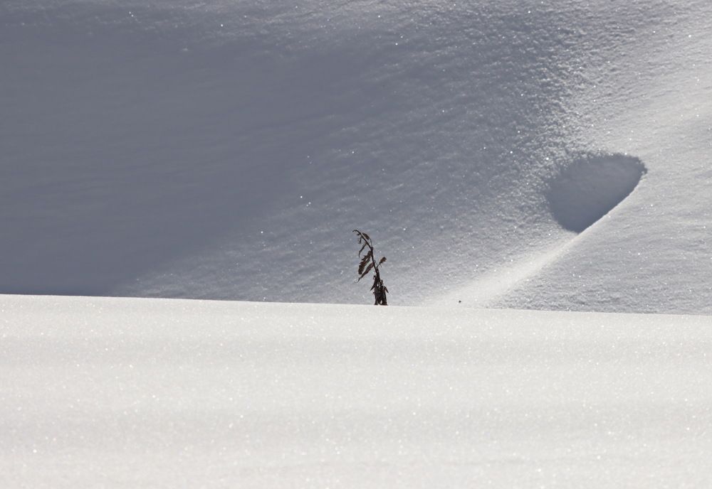 Photograph by Сергей Маслов