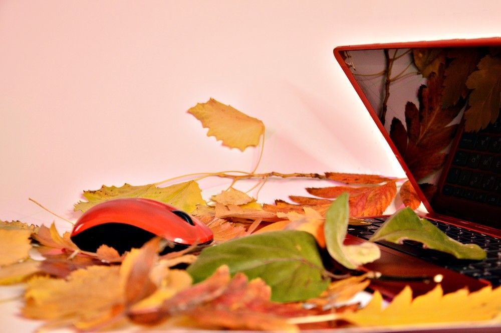 Photograph by Ольга Шевцова