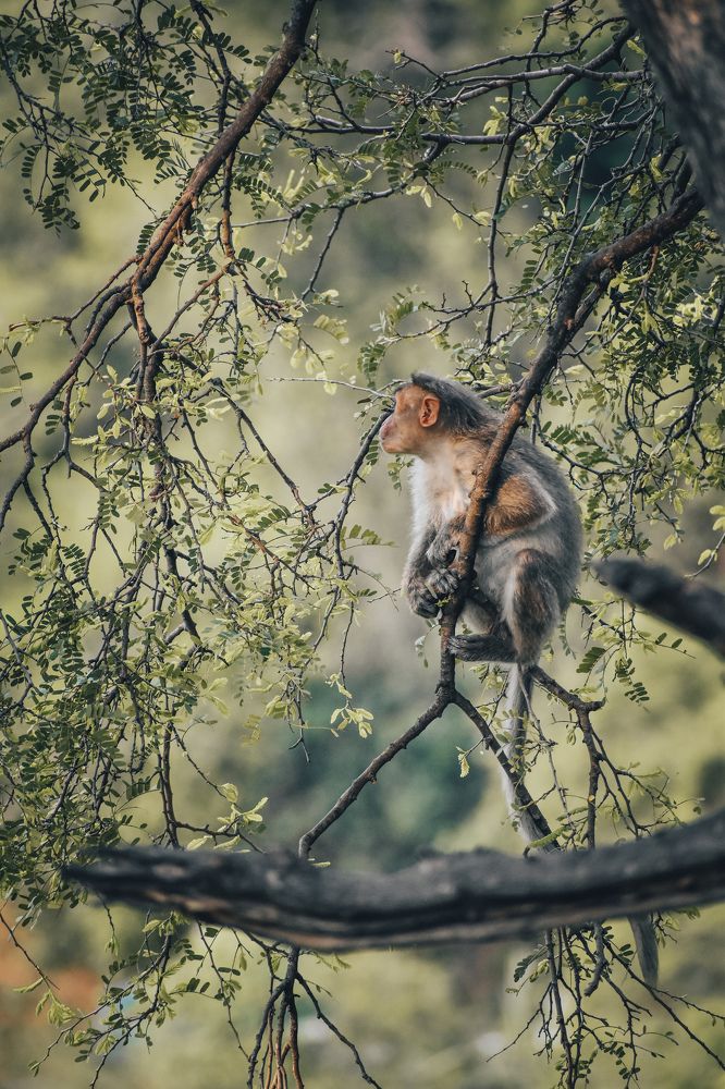 Photograph by Prem Sahana