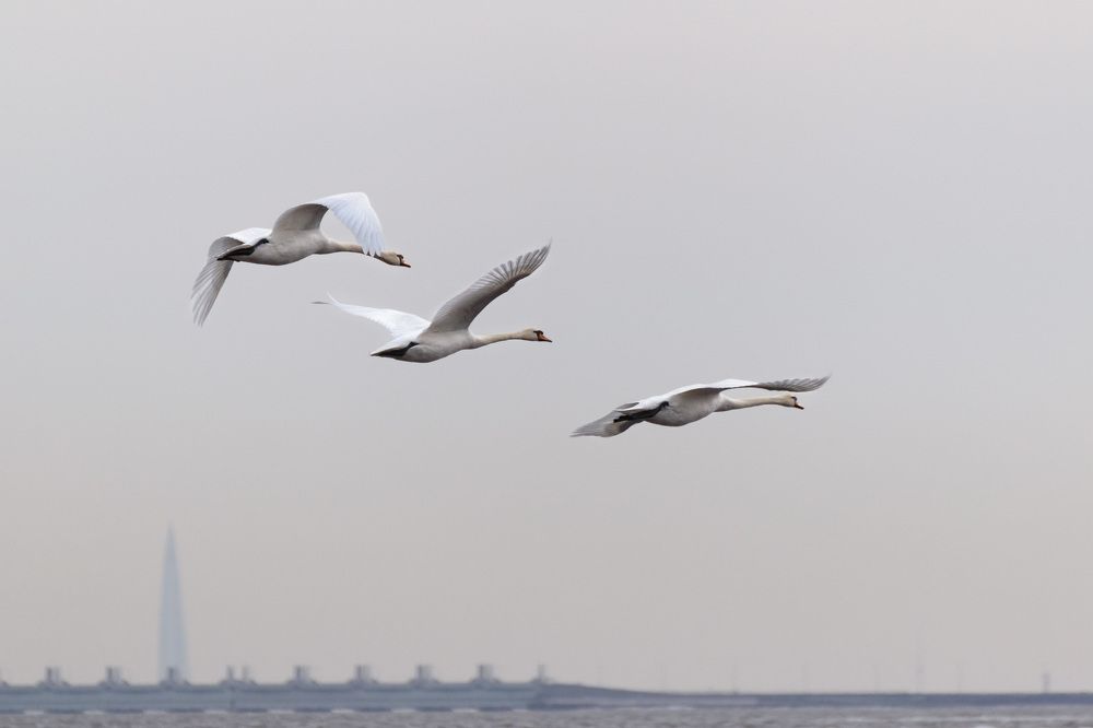Фотография автора Мария Рохмистрова