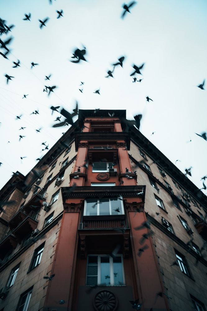 Photograph by Павел Быков