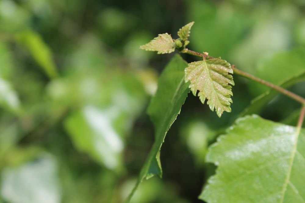 Photograph by Любовь