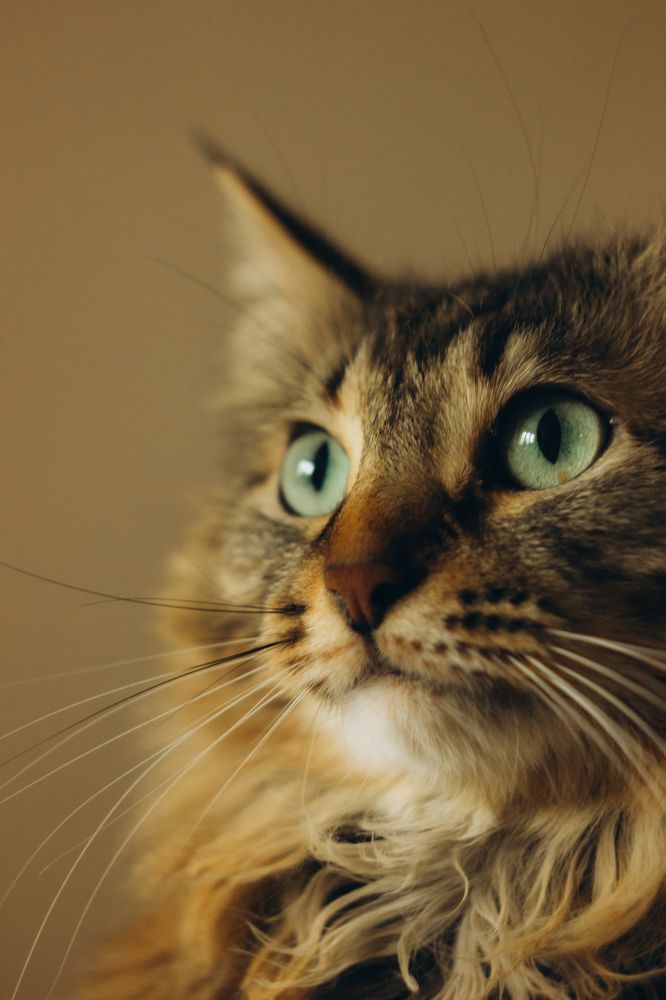 Photograph by Оксана Рогалева