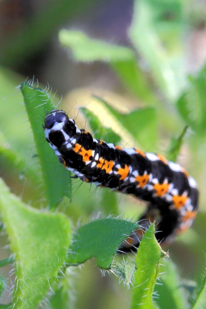 Photograph by Юрий Варюхин