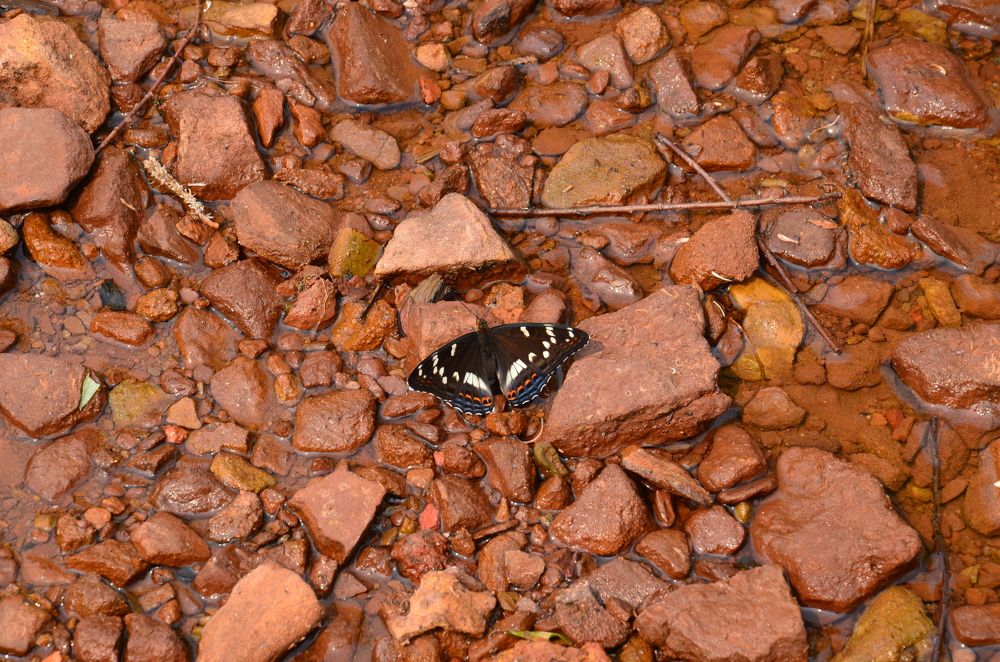 Photograph by Людмила Воропаева