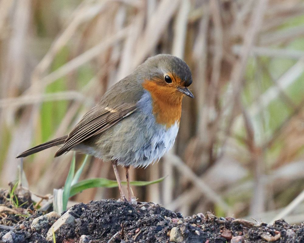 Photograph by Victor Krachkovsky