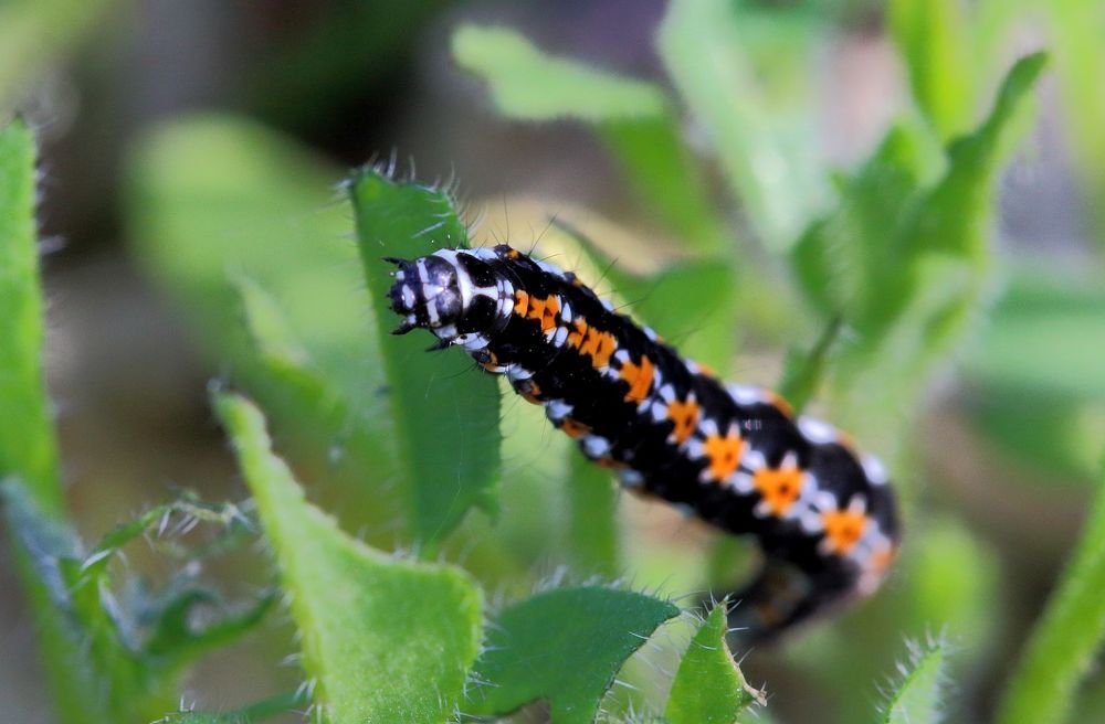 Photograph by Юрий Варюхин