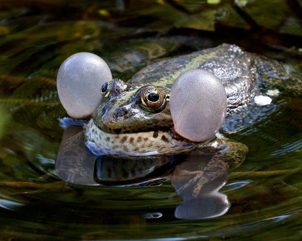 Photograph by Victor Krachkovsky