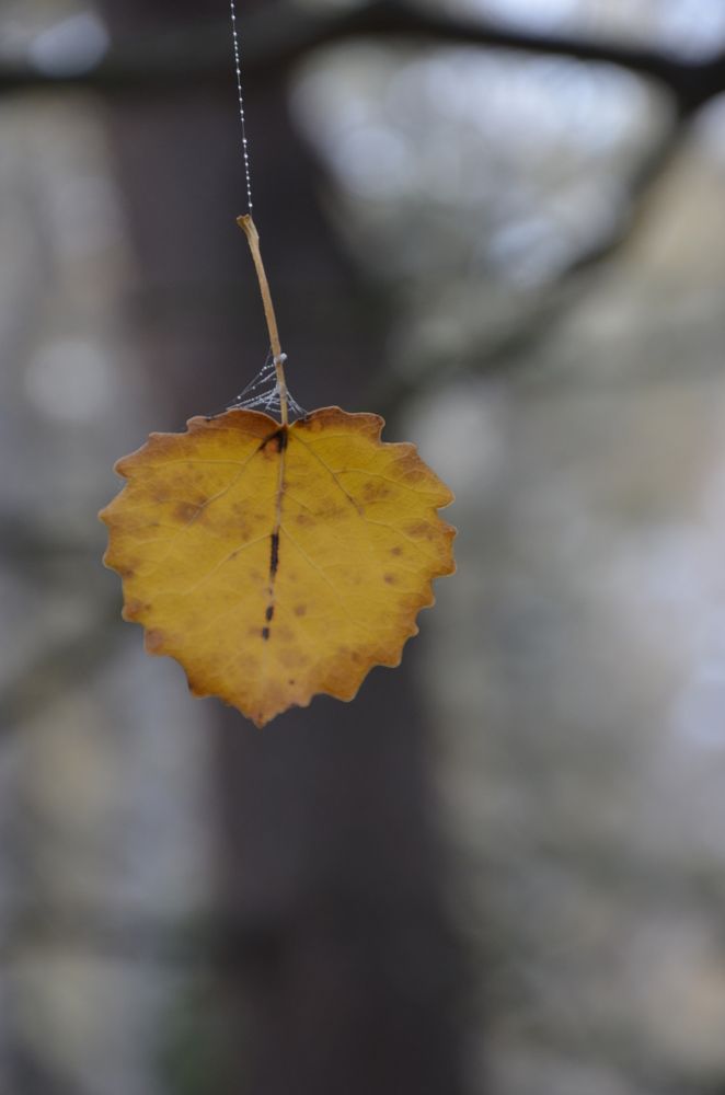 Photograph by Людмила Воропаева