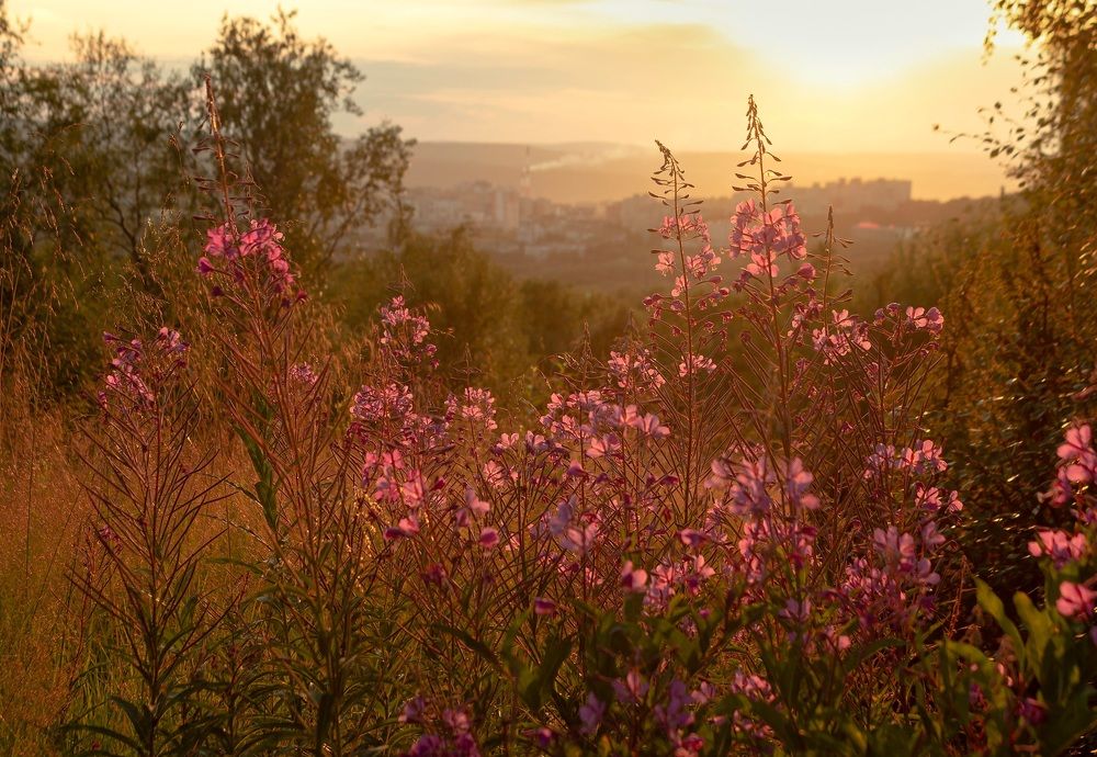 Photograph by Татьяна Мельникова