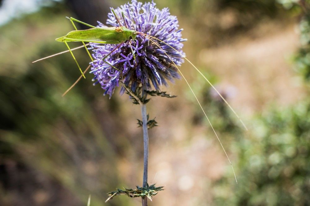 Photograph by Валентина Лопаткина