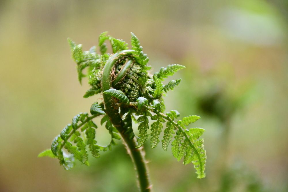Photograph by Алексей Поликарпов