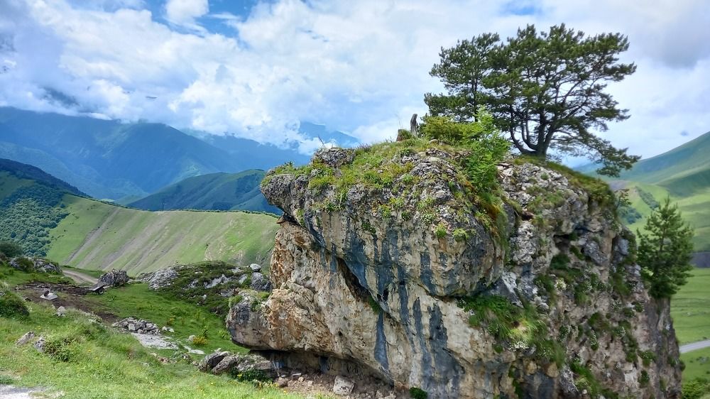 Photograph by Людмила Ярош