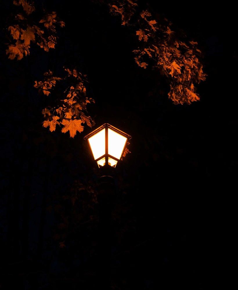 Photograph by Елена Пасажицкая