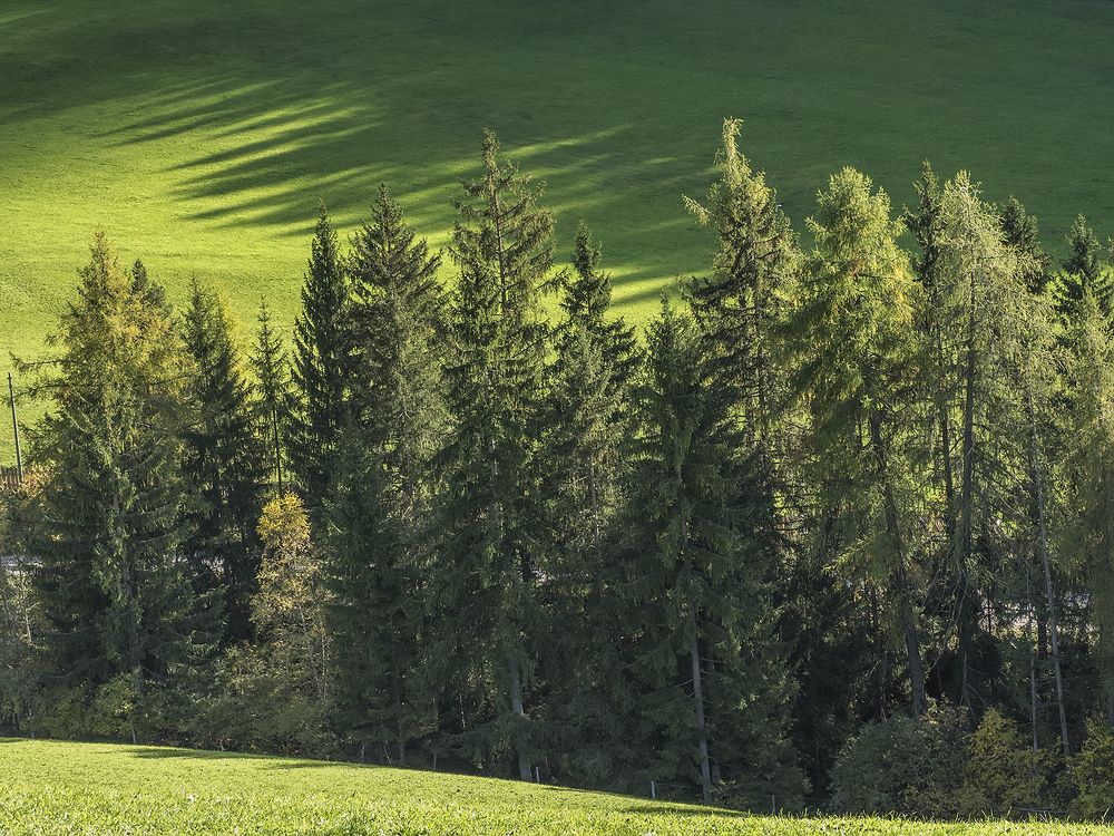 Photograph by Минаева Вера