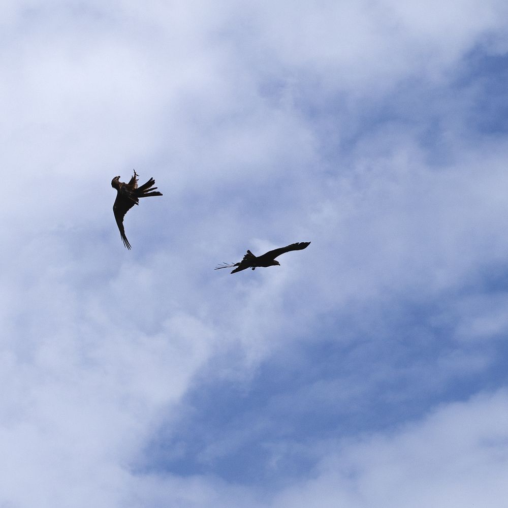 Photograph by Майя