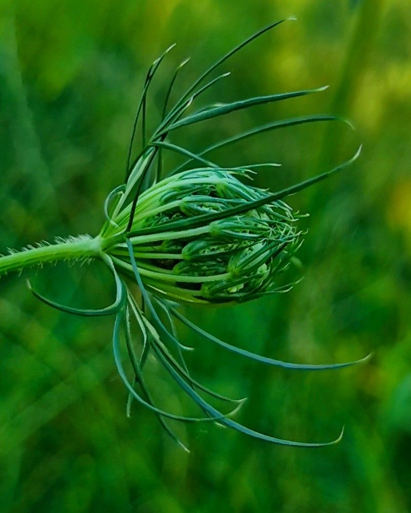 Photograph by Nikolett Mengyi