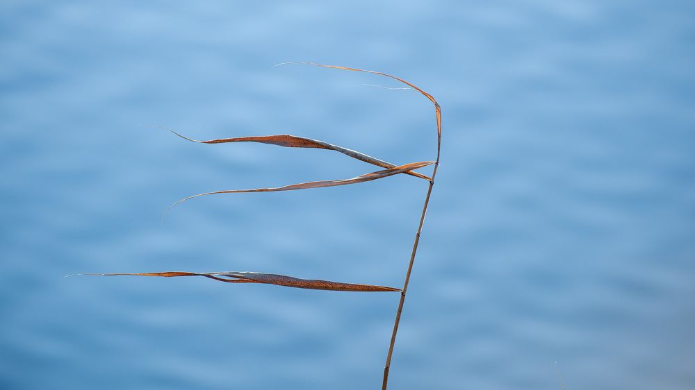 Photograph by Бодрягин Виталий