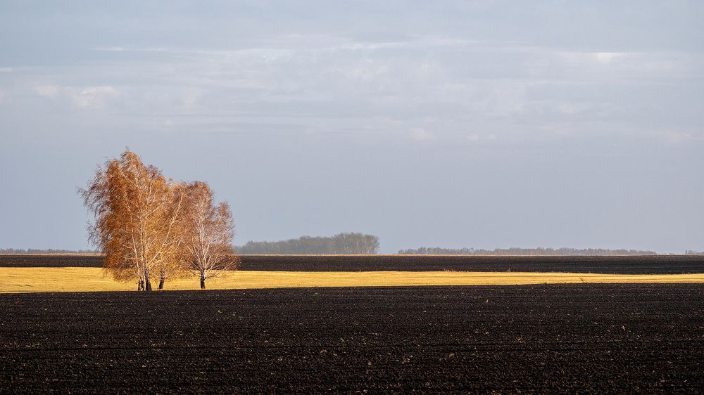 Photograph by Бодрягин Виталий