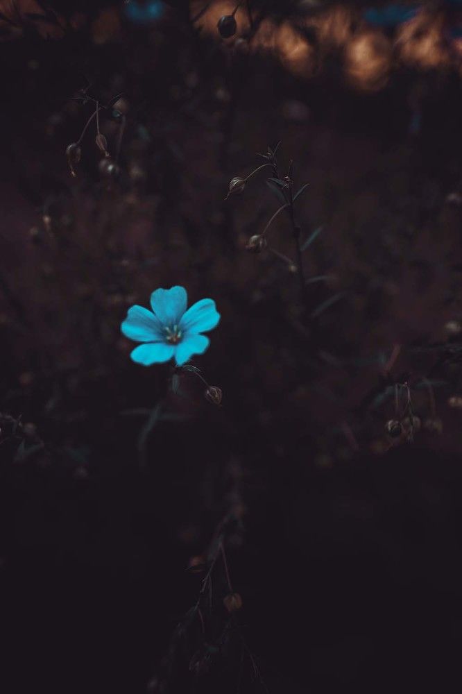 Photograph by Елена Пасажицкая