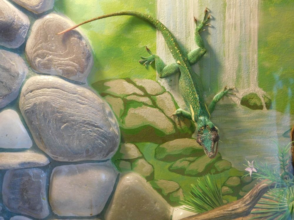 Photograph by Оксана Демидова