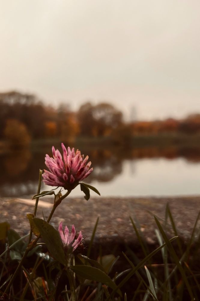 Photograph by Оксана Корепанова