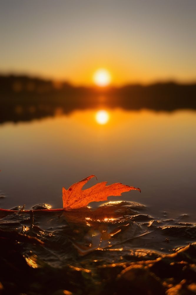 Photograph by Оксана Корепанова