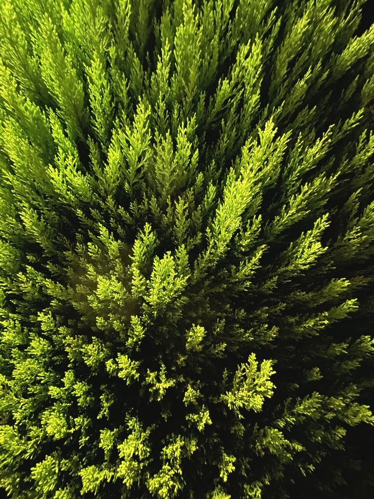 Фотография автора Рамзия Хисамутдинова