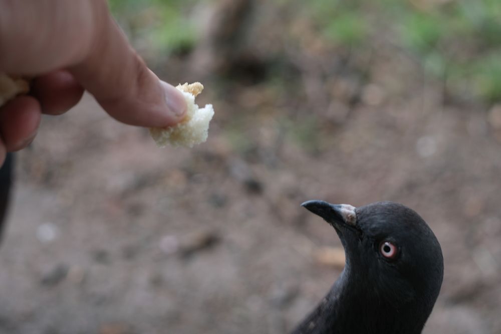 Photograph by Pavel Statsenko