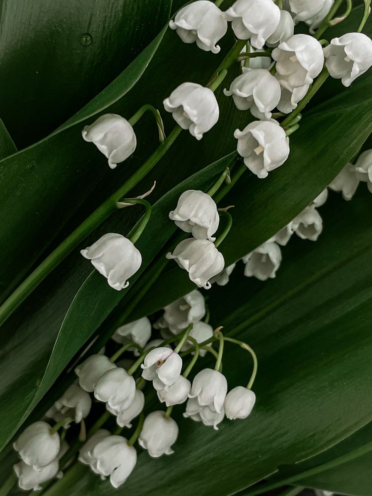 Фотография автора Рамзия Хисамутдинова