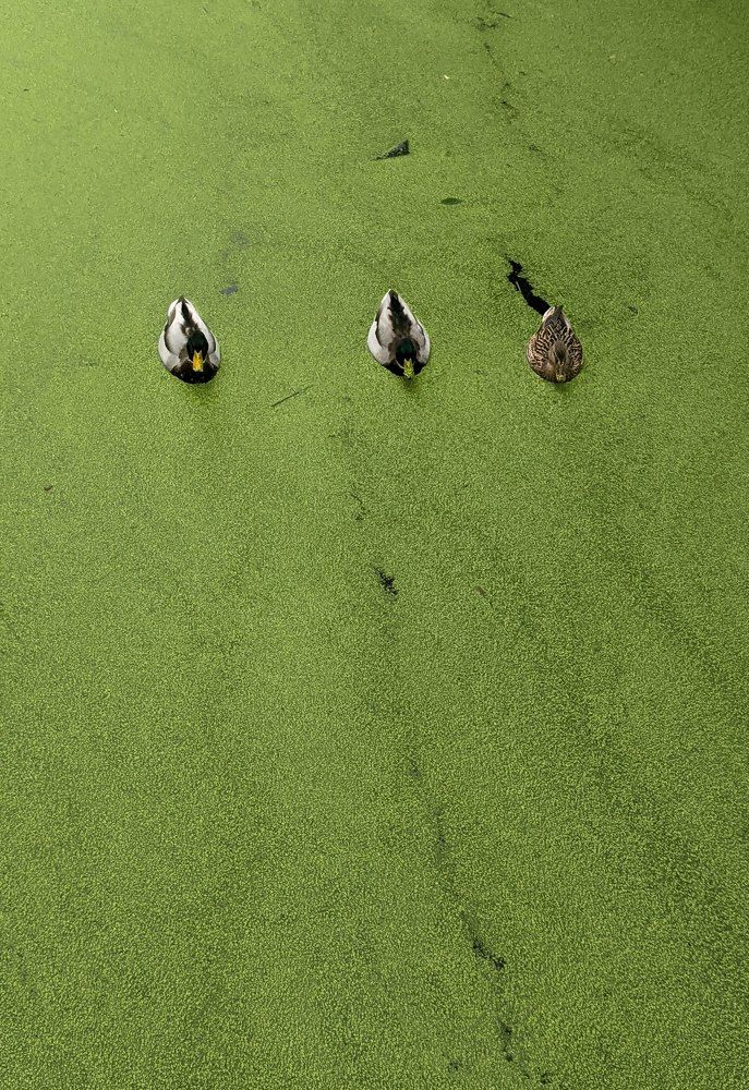 Фотография автора Ксения Шляйхер